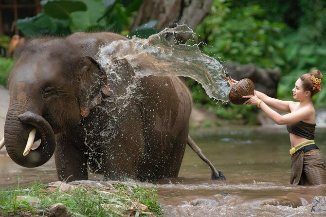 Luxury Chitwan Jungle Safari Tour