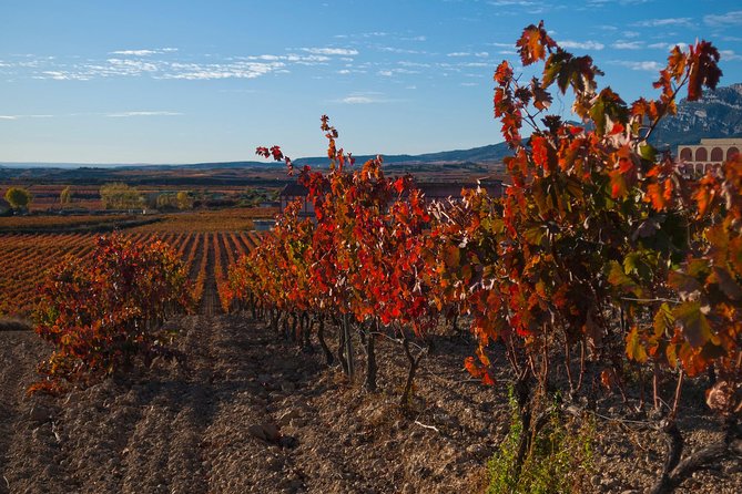 Luxury La Rioja Wineries Private Tour