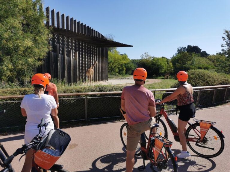 Lyon: 2-Hour Electric Bike Tour With a Local Guide