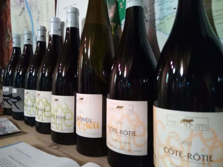 Lyon: Half-Day Côte-Rotie Wine Tasting Tour