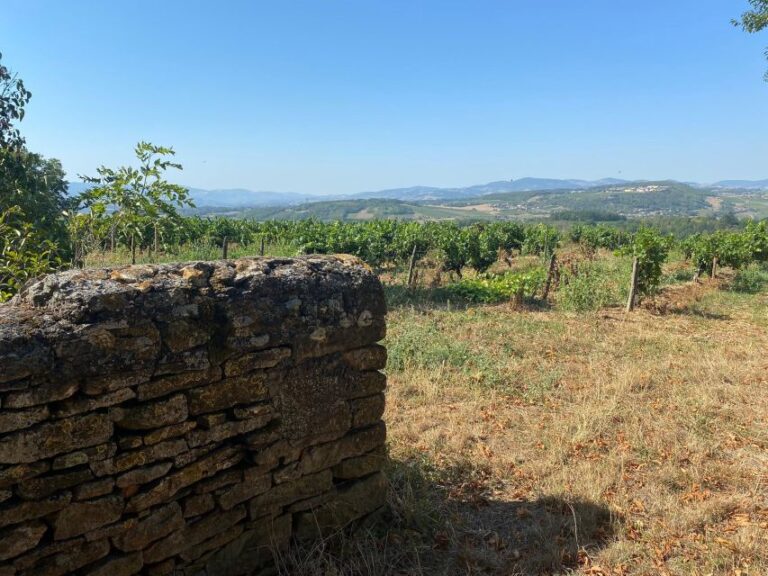 Lyon : Self-Guided Hike in the Beaujolais (Train & Picnic)