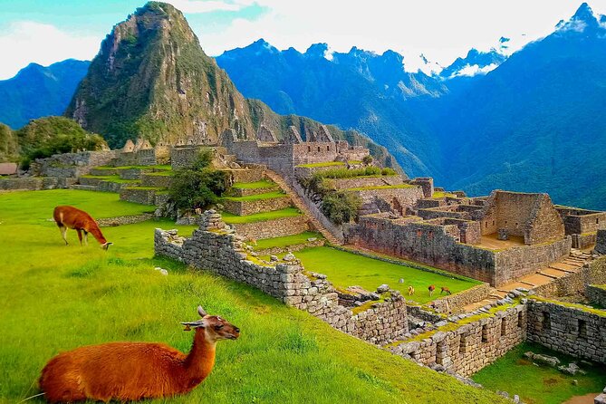 Machu Picchu Day Trip From Ollantaytambo & Urubamba