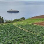 1 madeira farm tour with countryside lunch funchal Madeira Farm Tour With Countryside Lunch - Funchal