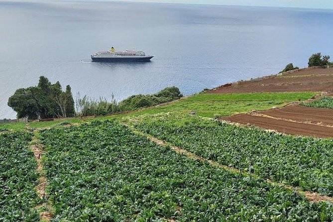 Madeira Farm Tour With Countryside Lunch  – Funchal