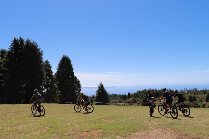 Madeira Island Guided Mountain Biking Adventure