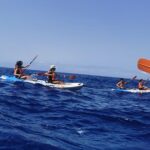 1 madeira island kayak experience Madeira Island Kayak Experience