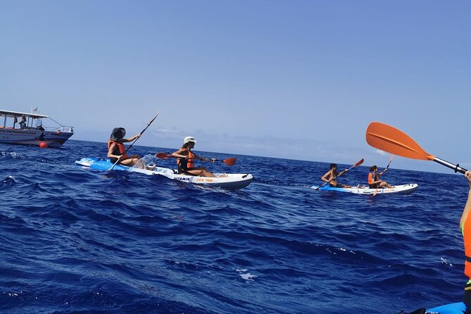 Madeira Island Kayak Experience