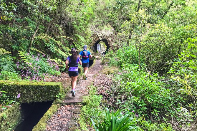 Madeira: Laurisilva Private or Small-Group Running Tour  – Funchal