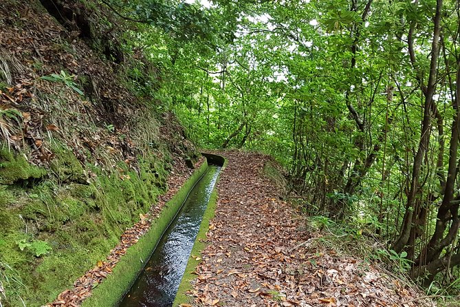 1 madeira private guided levada dos tornos boaventura hike Madeira: Private Guided Levada Dos Tornos Boaventura Hike