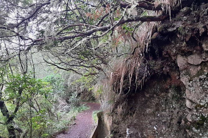 Madeira: Private Guided Tour to Ribeiro Frio and Chão Das Feiteiras