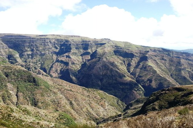 Madeira: Private Guided Walk Levada Do Paul