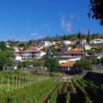 1 madeira wine tasting and sightseeing private tour from funchal Madeira Wine Tasting and Sightseeing Private Tour From Funchal
