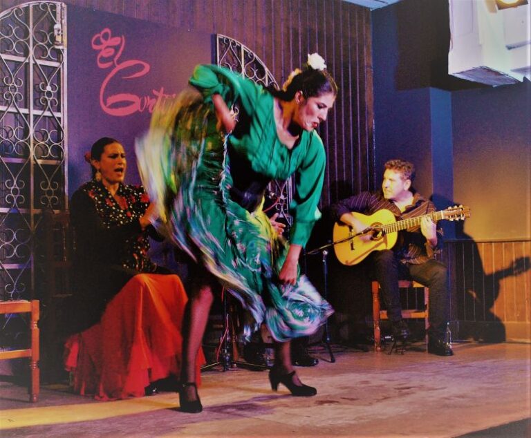 Madrid: Flamenco Workshop and Show at Taberna El Cortijo