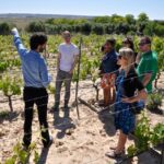 1 madrid region wineries guided tour and tastings Madrid Region Wineries: Guided Tour and Tastings