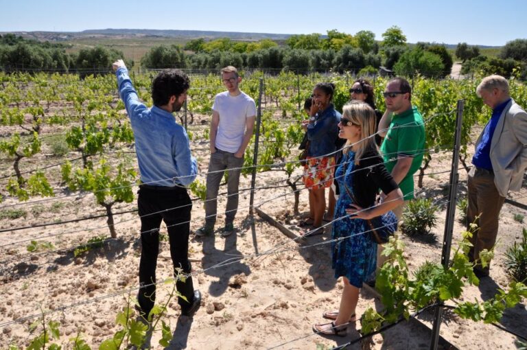 Madrid Region Wineries: Guided Tour and Tastings