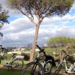 1 madrids river side casa de campo electric bike tour Madrid'S River Side & Casa De Campo Electric Bike Tour