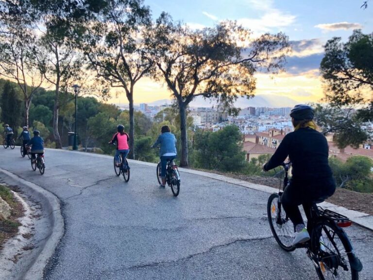 Malaga: 2-Hour Guided City Highlights Tour by Electric Bike