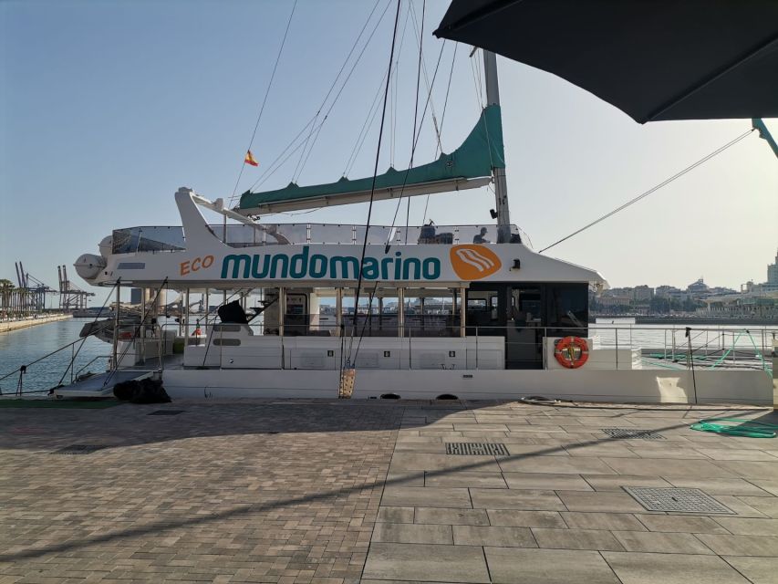 Malaga: A Sea of Stars Nighttime Stargazing Catamaran Tour