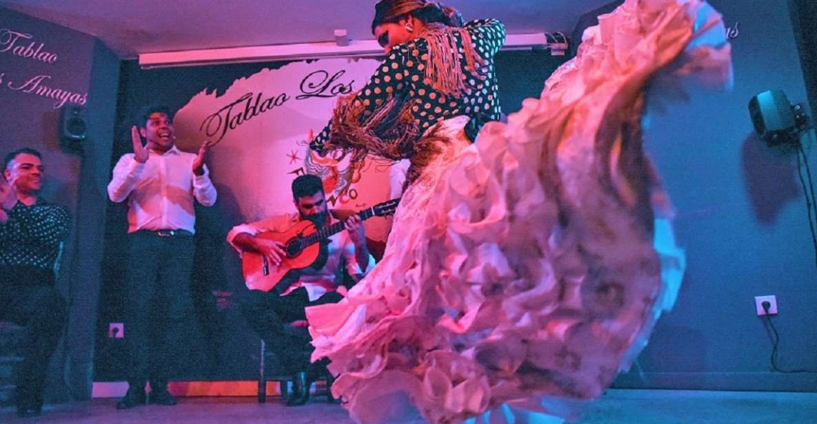 Málaga: Flamenco and City Highlights Guided Tour