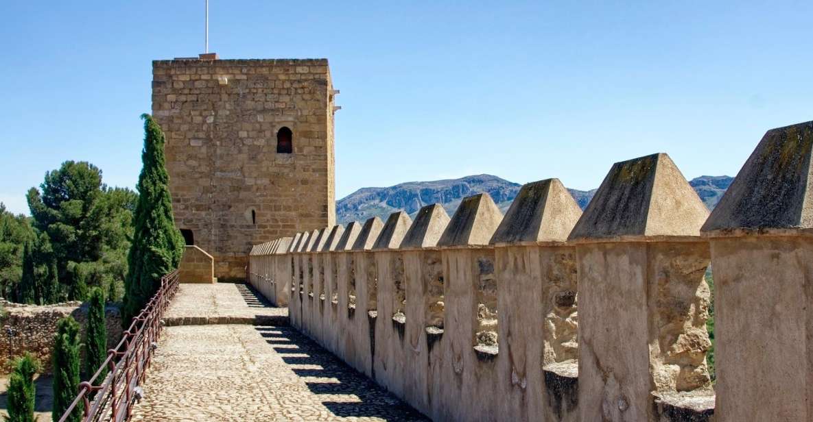 1 malaga private historic walking tour Malaga - Private Historic Walking Tour