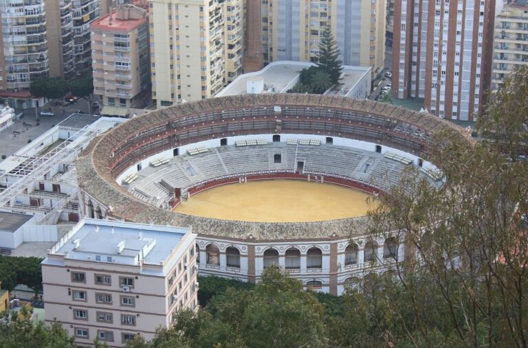 Malaga: Private Plaza De La Merced, City Center, & Port Tour