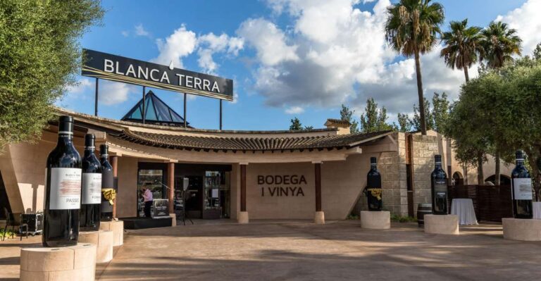 Mallorca: Blanca Terra Bodega Ticket – Optional Wine Tasting