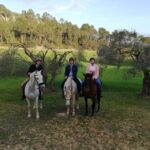 1 mallorca mallorcas sunset spanish riding school show Mallorca: Mallorcas Sunset & Spanish Riding School Show