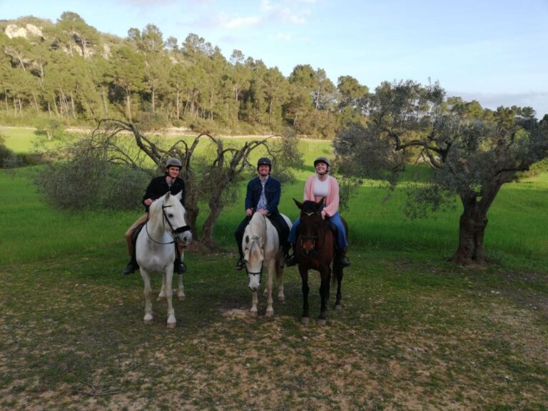 Mallorca: Mallorcas Sunset & Spanish Riding School Show
