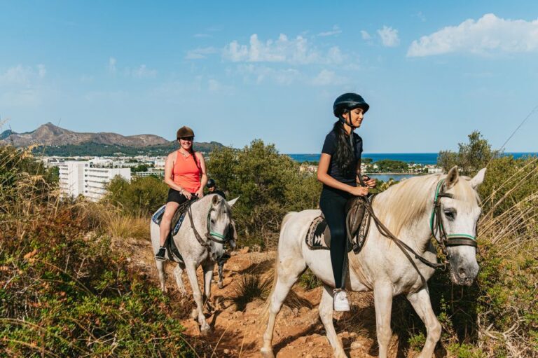 Mallorca: Mountain Horse Riding Experience W/ Brunch Option