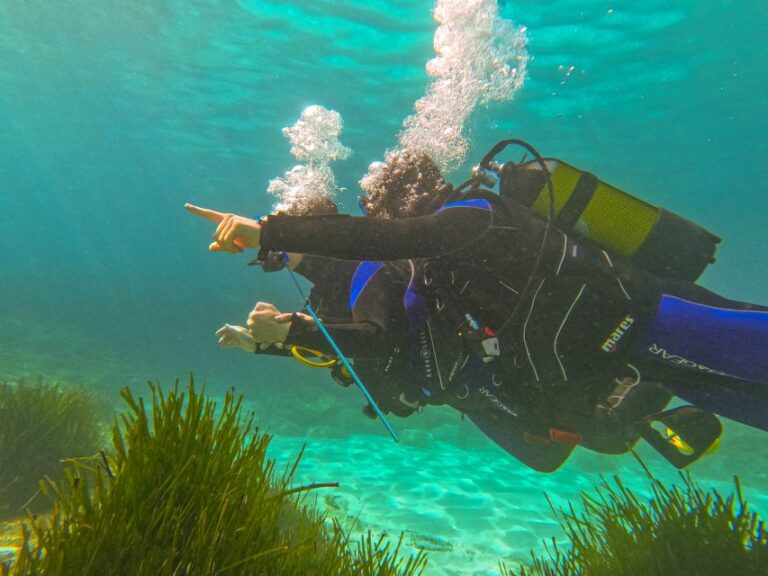 Mallorca: Private Beginner Scuba Dive With Instructor/Photos