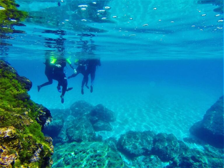 Mallorca: Sea Caving, 5 Hours to Visit a Cave Under Land