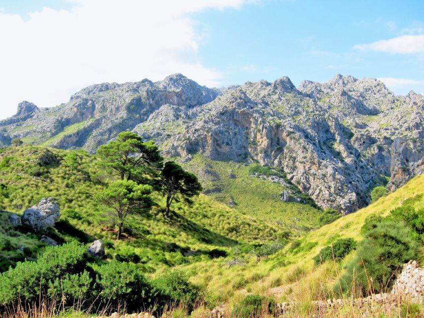 1 mallorca soller walking picnic tour palma magaluf soller Mallorca Sòller Walking & Picnic Tour (Palma-Magaluf-Sòller)