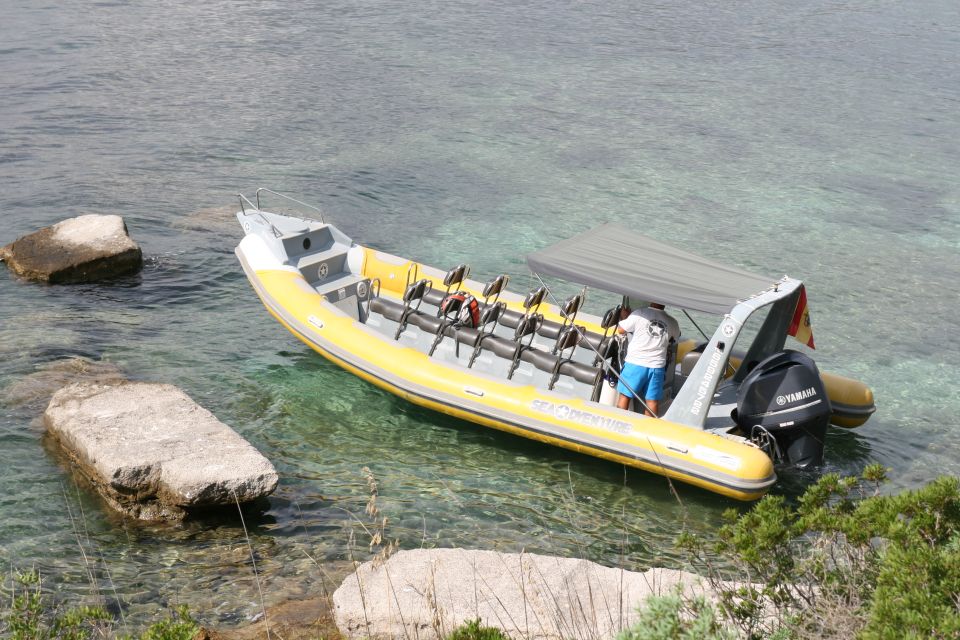 1 mallorca speedboat snorkelling and swimming adventure Mallorca : Speedboat, Snorkelling and Swimming Adventure