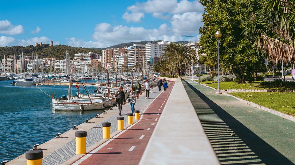 1 mallorca walking picnic tour ink town nature beach Mallorca Walking & Picnic Tour (Ink. Town, Nature, Beach)