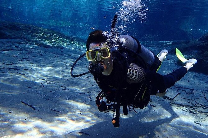 1 manatees and rainbow river by scuba or snorkel Manatees and Rainbow River by SCUBA or Snorkel