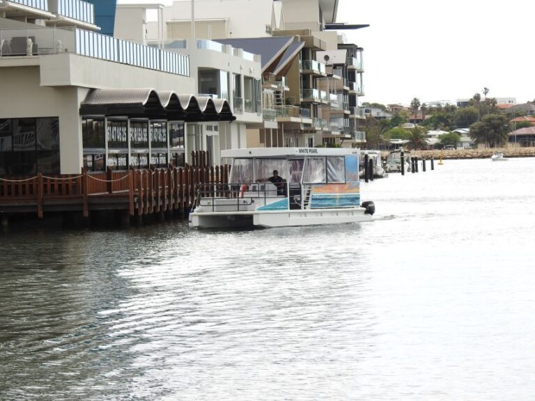 Mandurah: Sightseeing Dolphin Cruise With Tour Guide