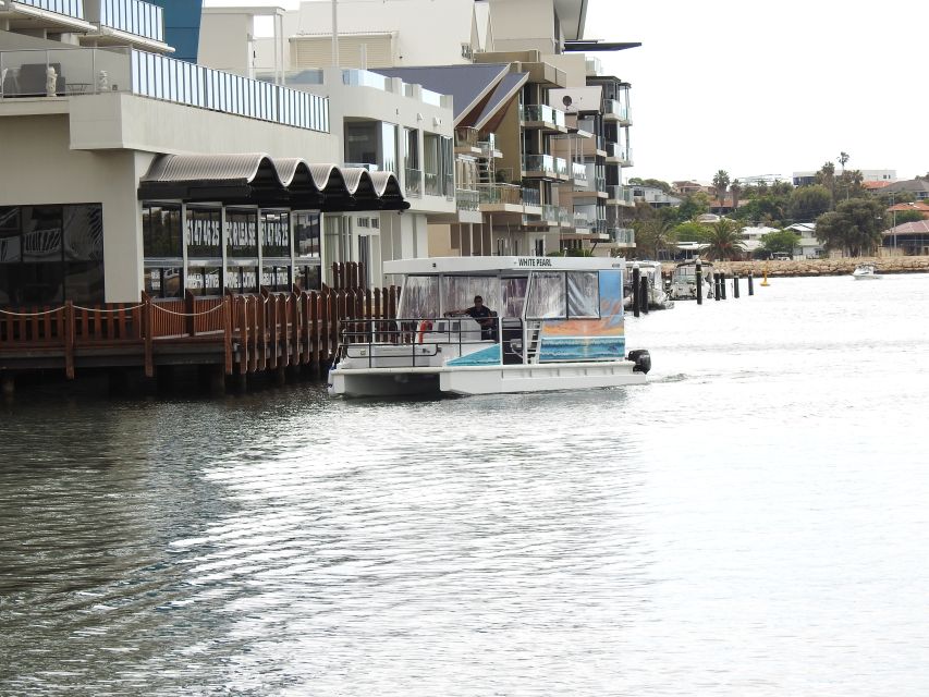 1 mandurah sightseeing dolphin cruise with tour guide Mandurah: Sightseeing Dolphin Cruise With Tour Guide