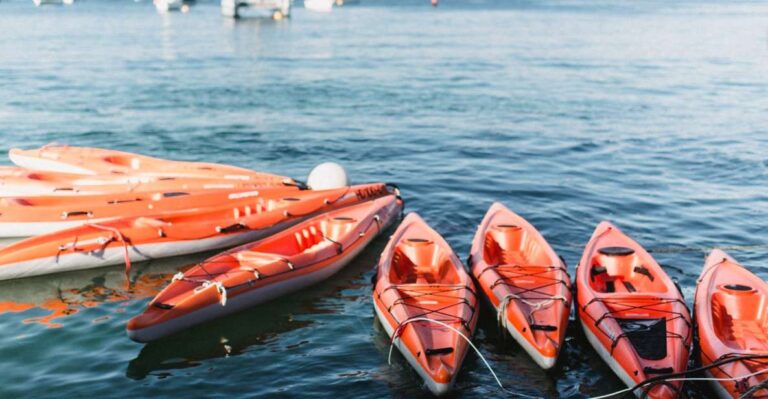 Manly: Mini Kayak Tour on Sydneys North Harbour