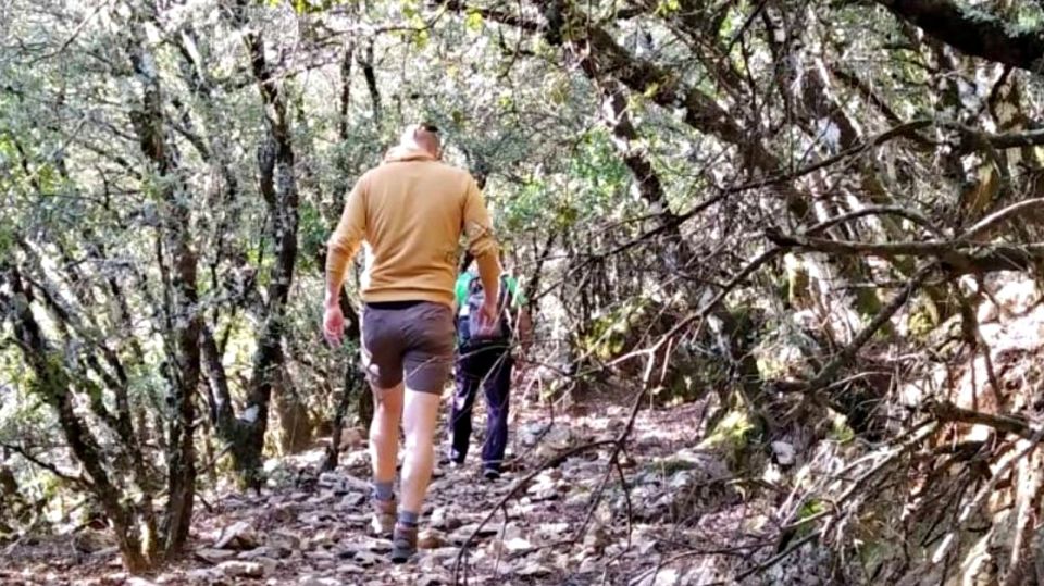 1 marbella sierra de las nieves national park hiking day trip Marbella: Sierra De Las Nieves National Park Hiking Day Trip