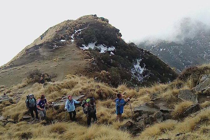 Mardi Himal Base Camp Dream Trekking in 3 Days From Pokhara Nepal