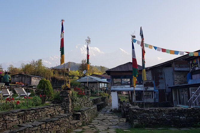 1 mardi himal trek 11 Mardi Himal Trek