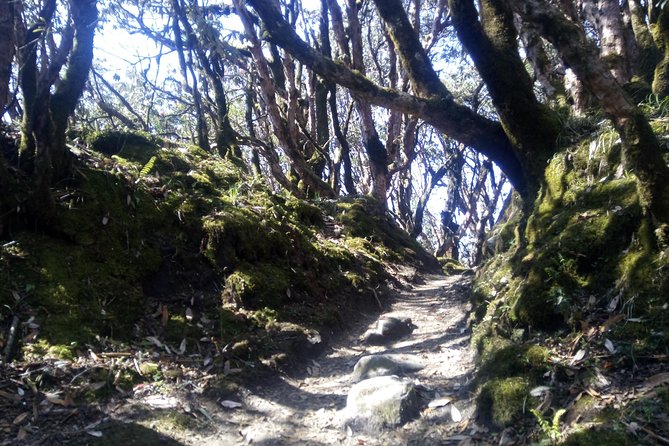 Mardi Himal Trek