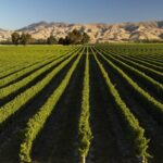 1 marlborough full day wine and seafood tour with cruise Marlborough: Full-Day Wine and Seafood Tour With Cruise