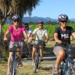 1 marlborough half guided half self guided bike wine tour Marlborough Half Guided & Half Self-Guided Bike Wine Tour