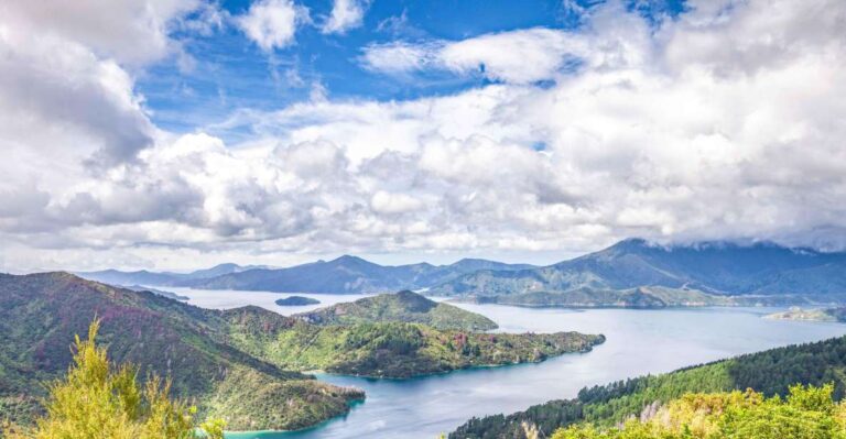 Marlborough Sounds and Ship Cove Cruise From Picton