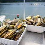 1 marlborough sounds greenshell mussel cruise Marlborough Sounds: Greenshell Mussel Cruise