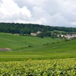 1 marne champagne region private day tour with lunch Marne: Champagne Region Private Day Tour With Lunch