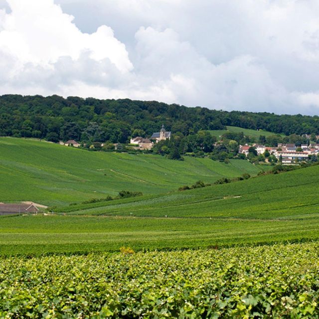 Marne: Champagne Region Private Day Tour With Lunch