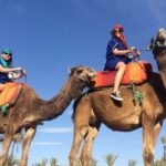 1 marrakech camel ride in the palmeraie Marrakech: Camel Ride in the Palmeraie