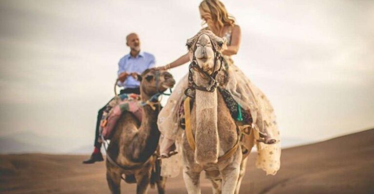 Marrakech : Full-day Agafay Desert and Atlas Mountain Tour